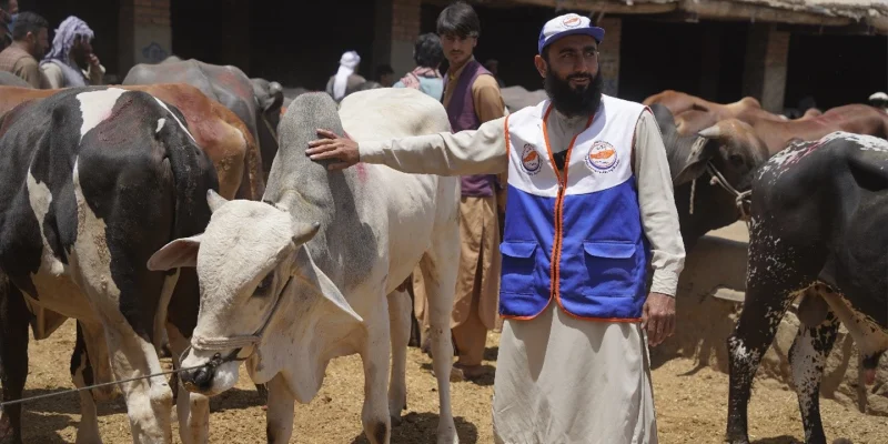 Qurbani Program